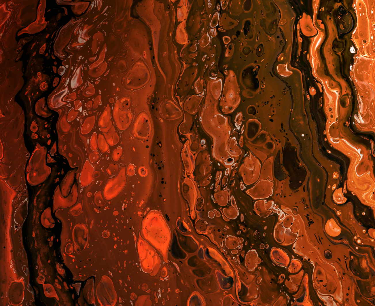 Portfolio 16